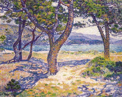 O Mediterrâneo em Le Lavandou de Théo van Rysselberghe
